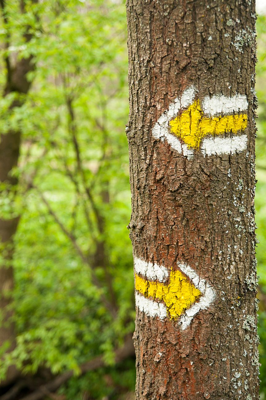 Acceptance and Commitment Therapy: Toward Moves & Away&nbsp;Moves