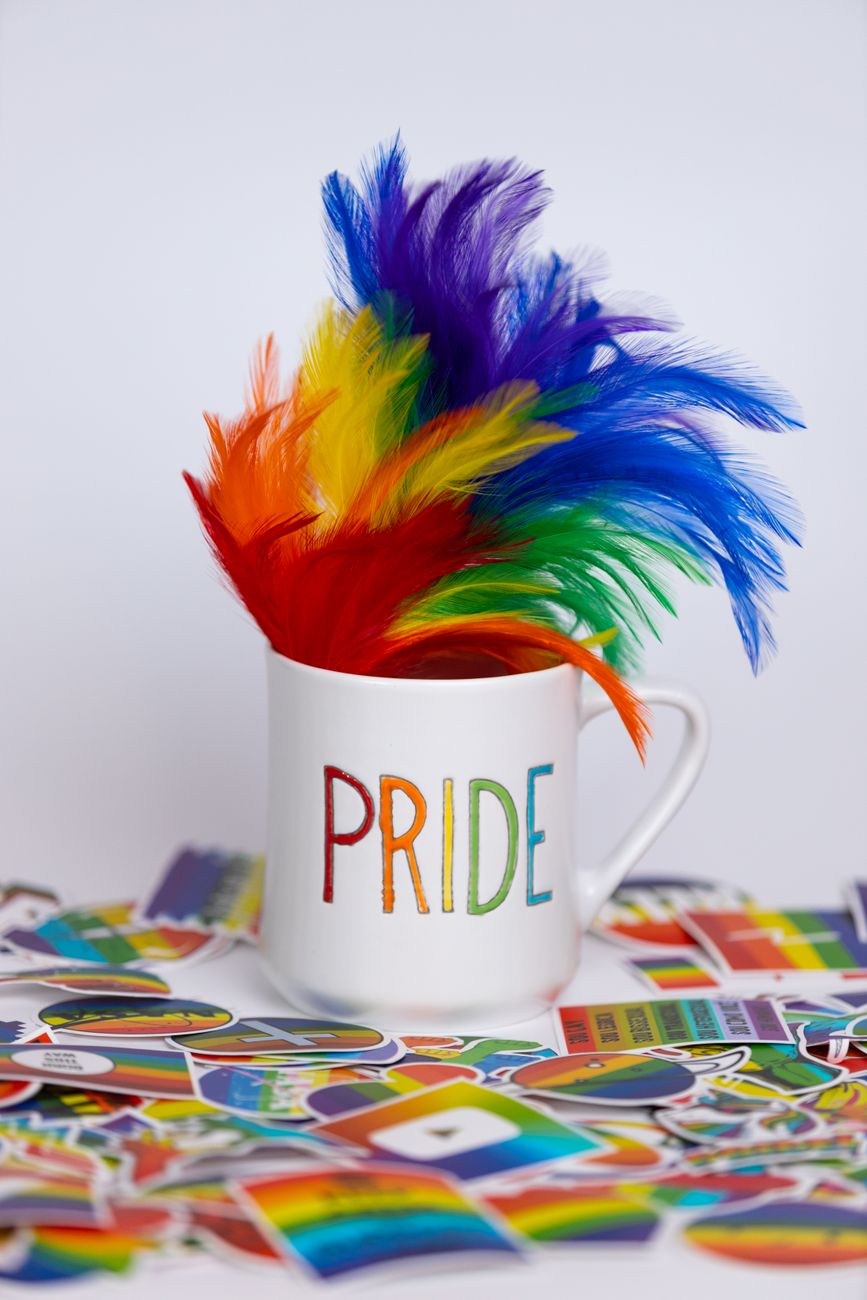 Celebrating Pride Month!