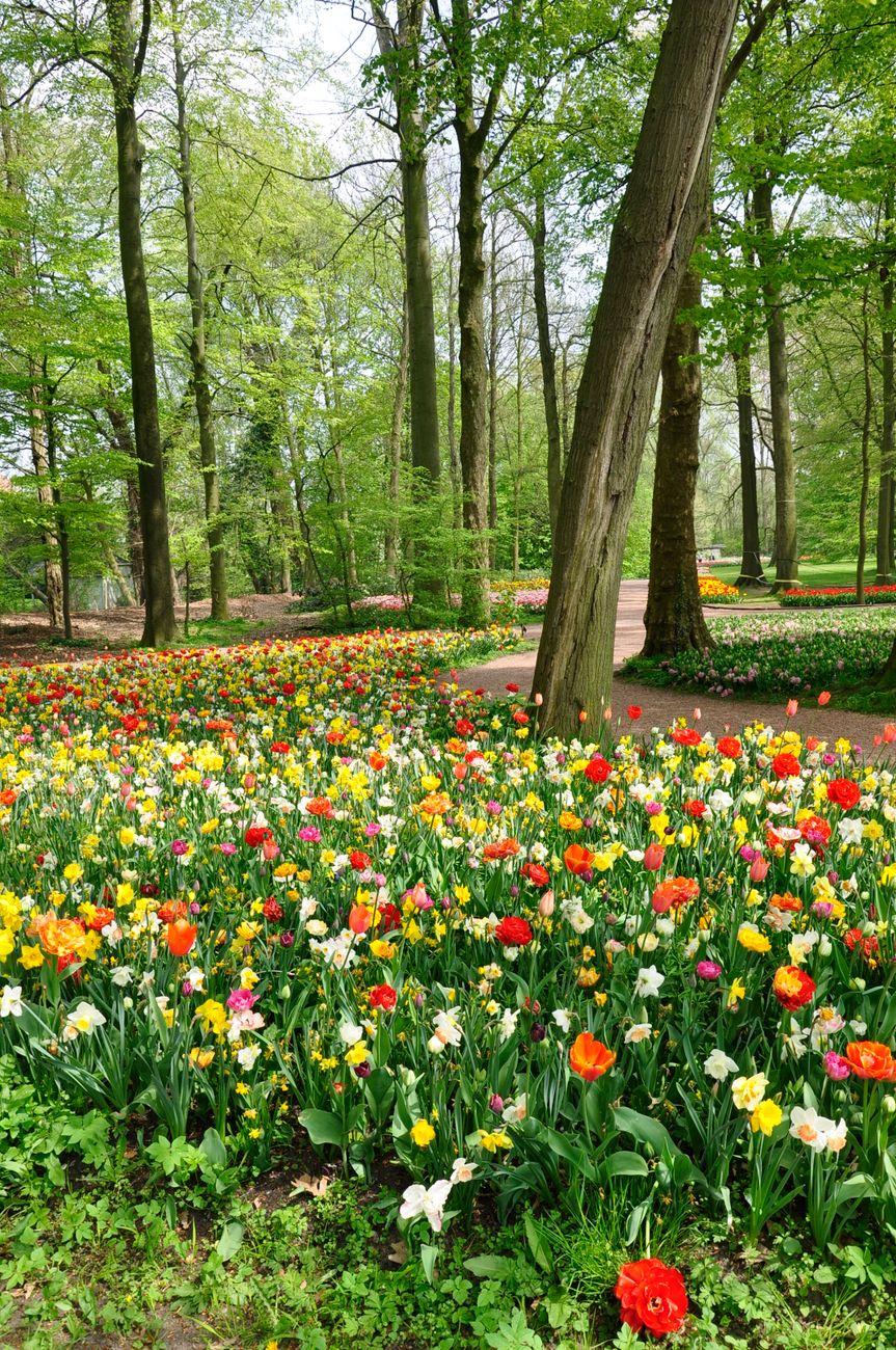 Spring Reset