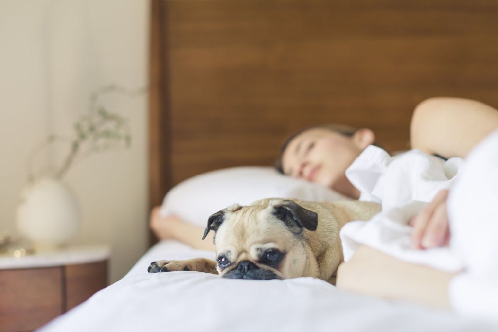 Sleep Hygiene